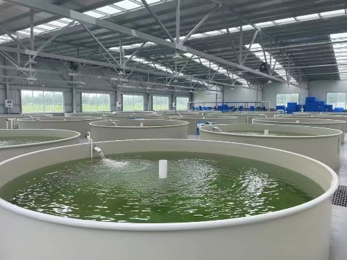 Aquaculture